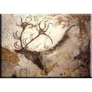 Click para ampliar. Pulsa en el nombre para ver la ficha. Ciervos